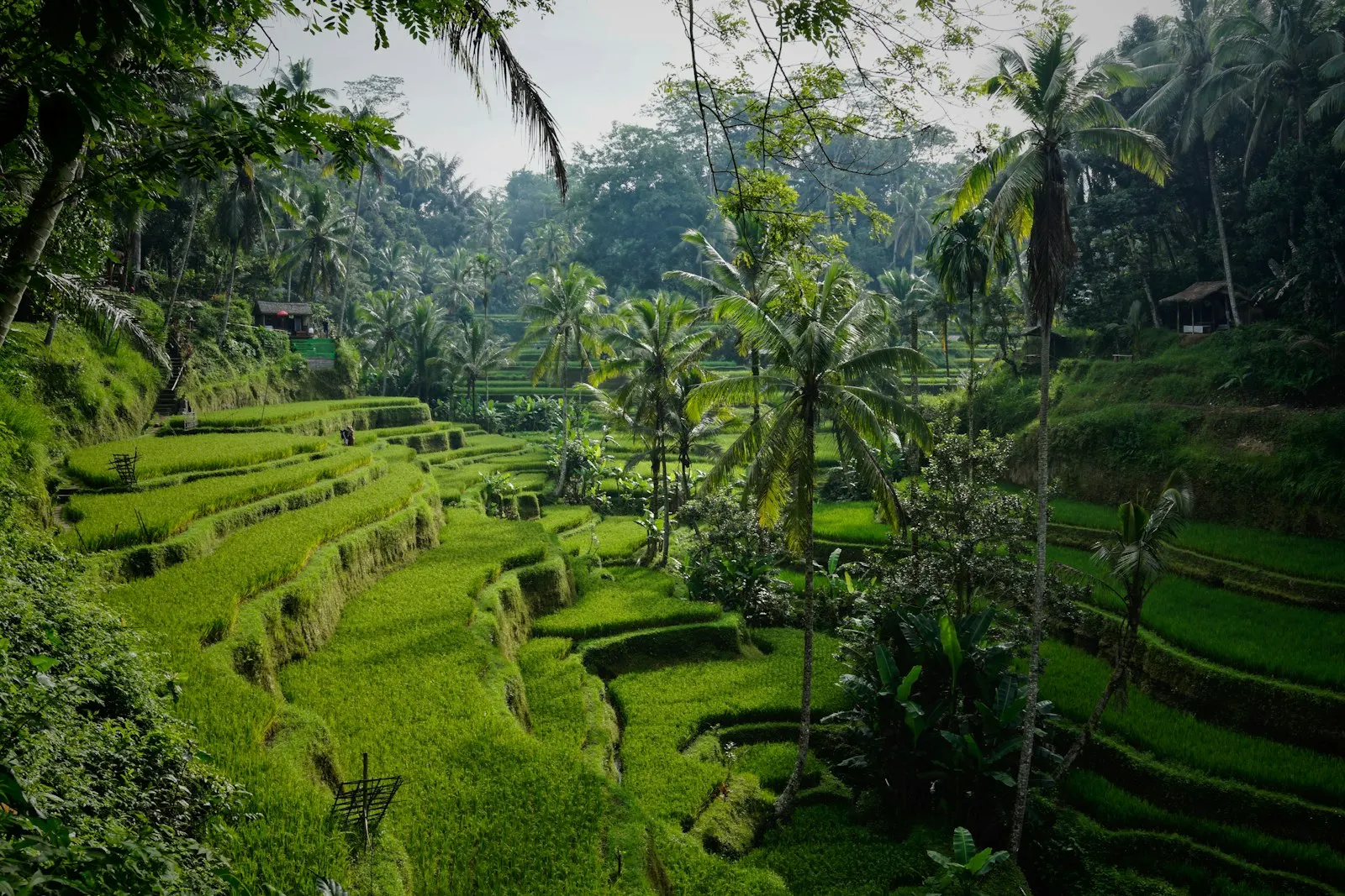 About Bali